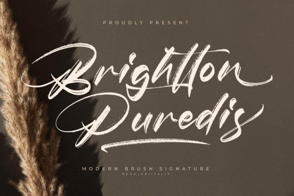 Brightton Puredis: The Handwritten Font for Branding