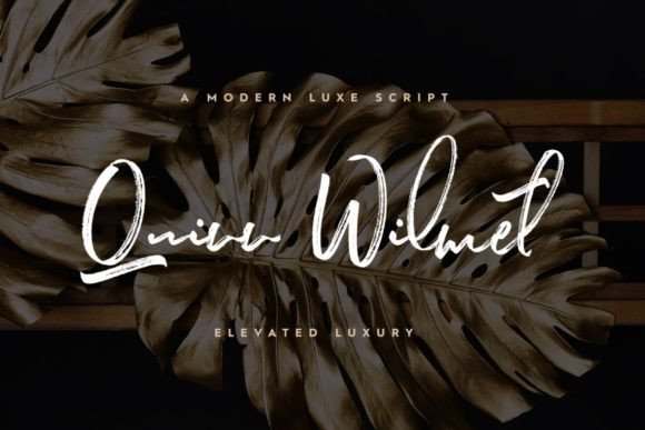 Quinn Wilmet: The Script Font That Stops the Scroll